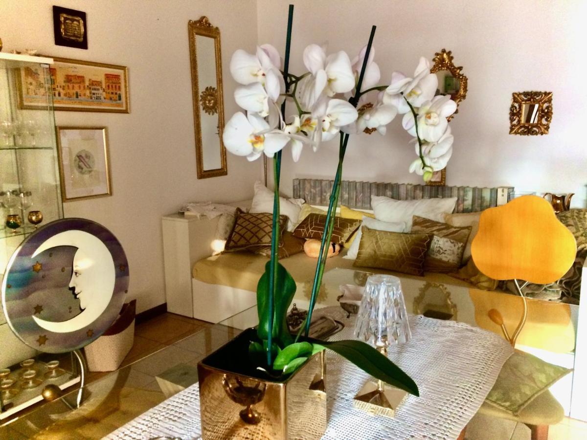Da Coco E Mini,L'Angolo Per Ceramiste In Viaggio - Faenza Exterior foto